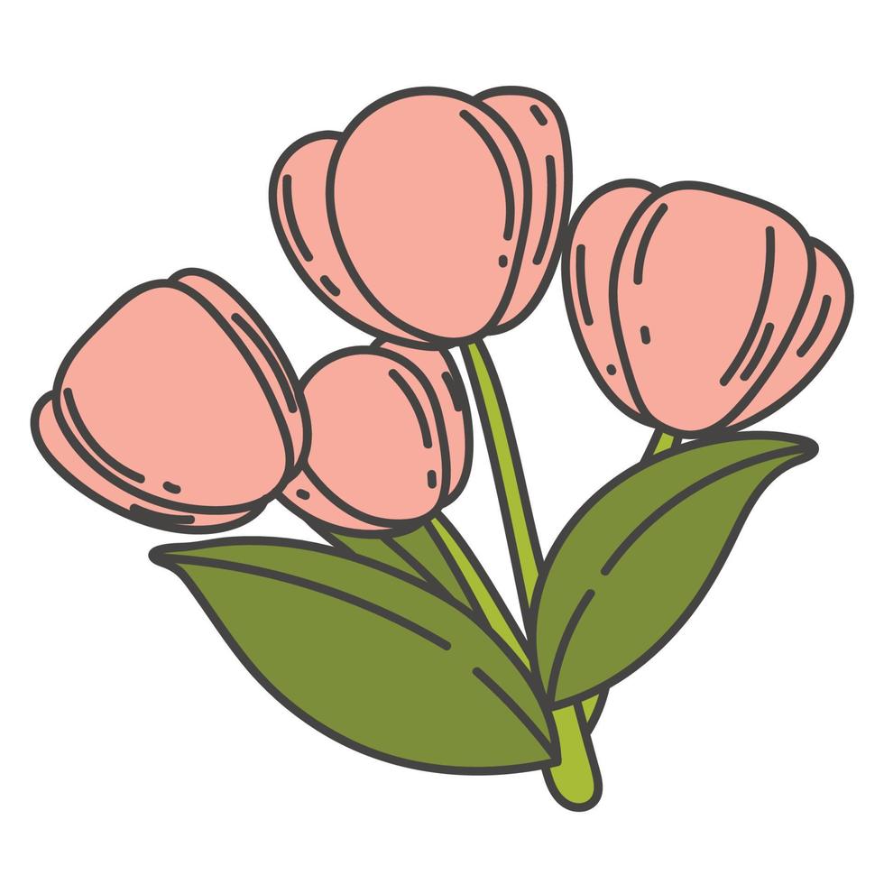 Cartoon cute tulip with green stalk vector illustration. spting flowers