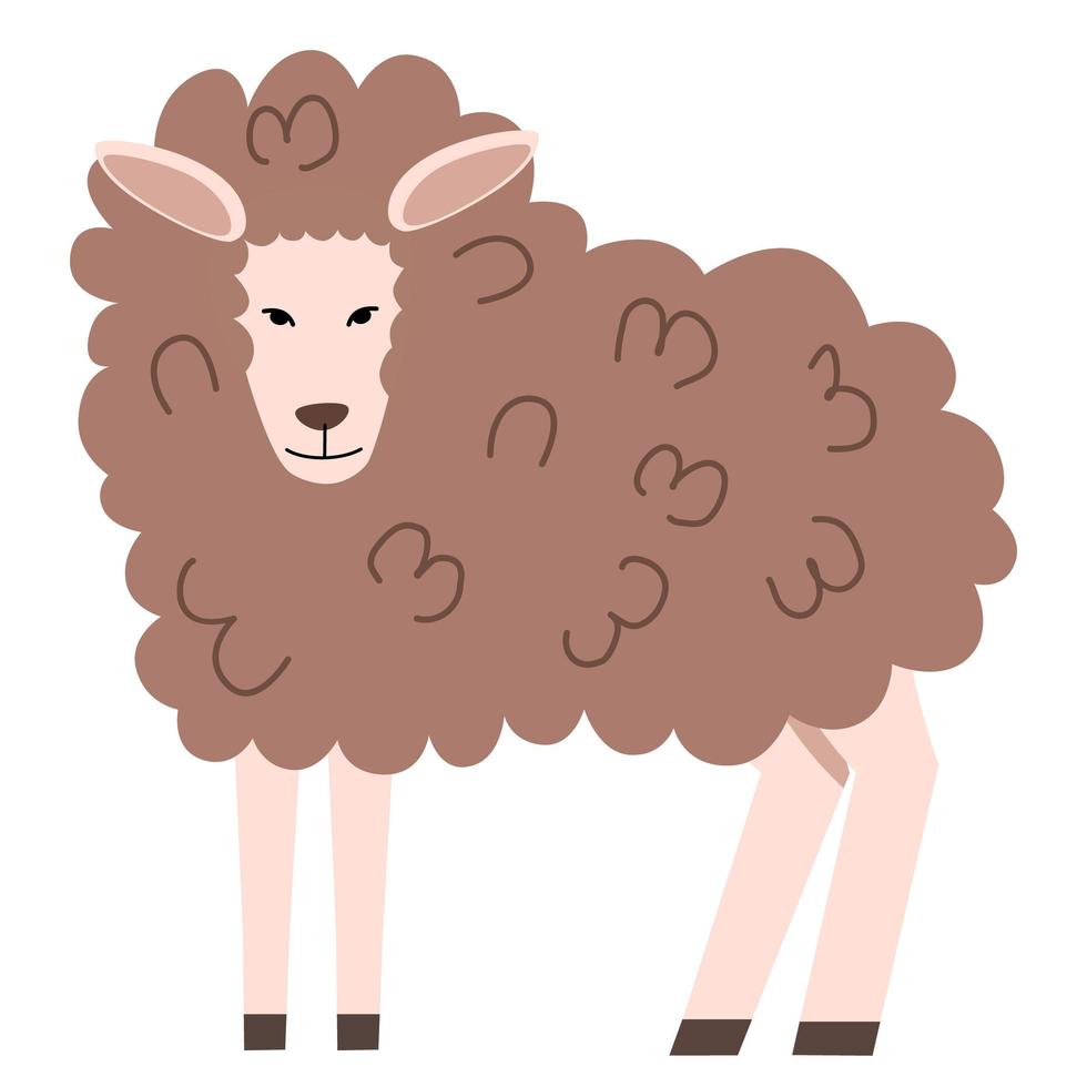 Vector illustration of a sheep in a flat style