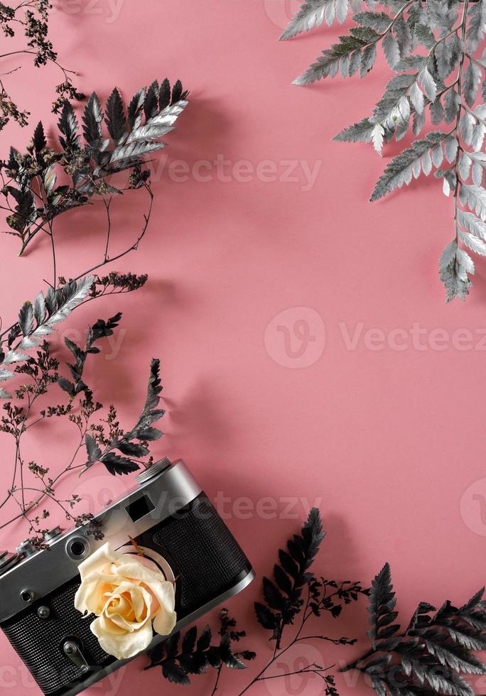blank for decorating postcards or a gift certificate for a photographer. Old camera on a pink background with gray dried flowers and space for text photo