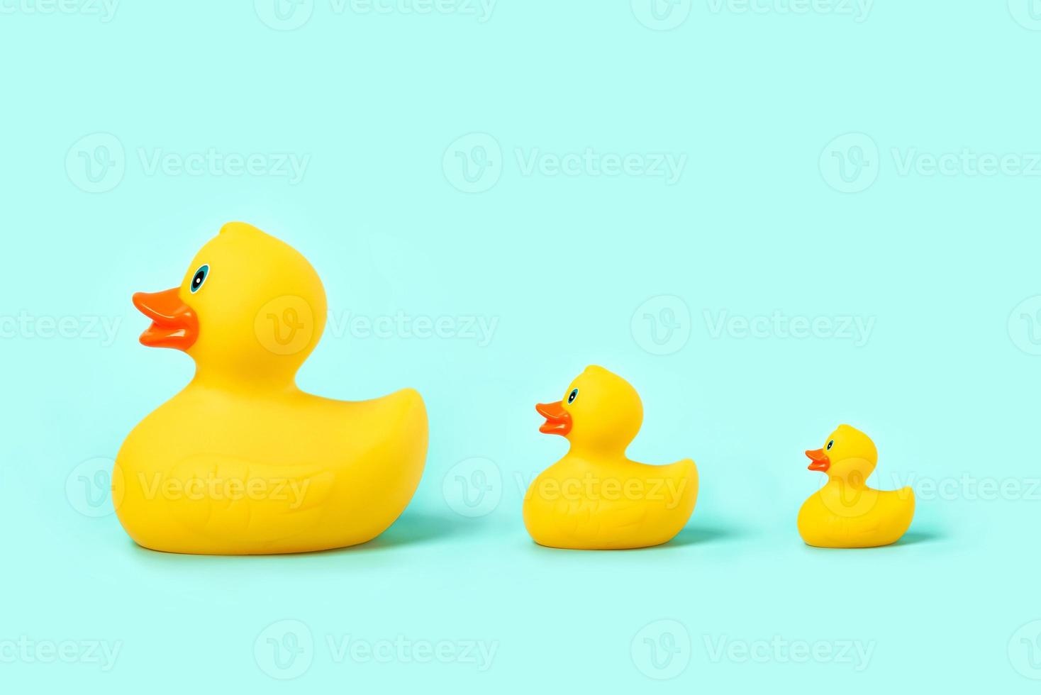 Rubber bath duck and rubber bath ducklings.Parenthood concept photo