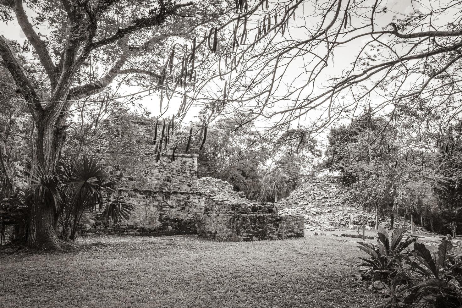 Ancient Mayan site with temple ruins pyramids artifacts Muyil Mexico. photo