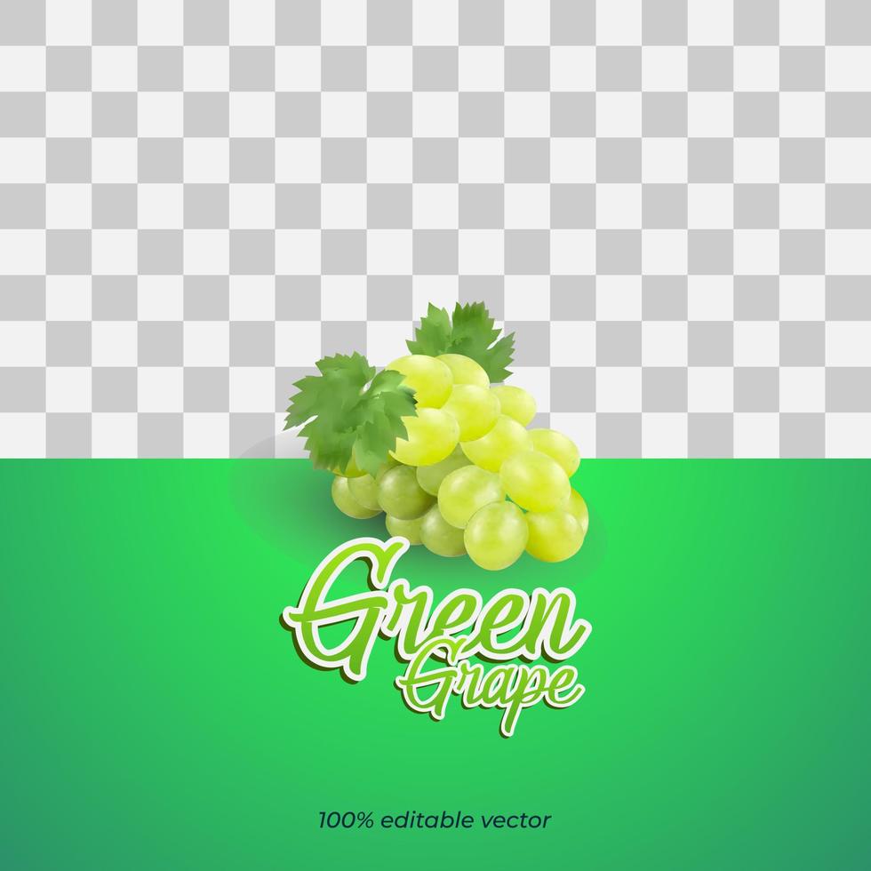 vector de uva verde 3d