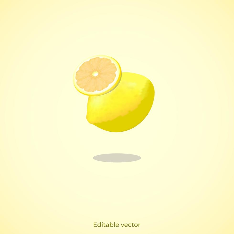 3d lemon slice icon vector