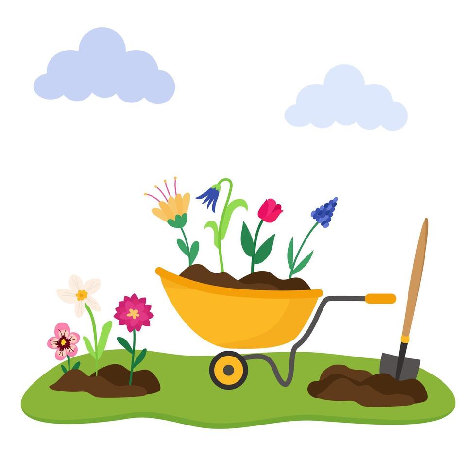 Gardening spring planting of flowers of bright, colorful flowers. Young seedlings in a garden wheelbarrow, next to a shovel. Illustration of agriculture vector