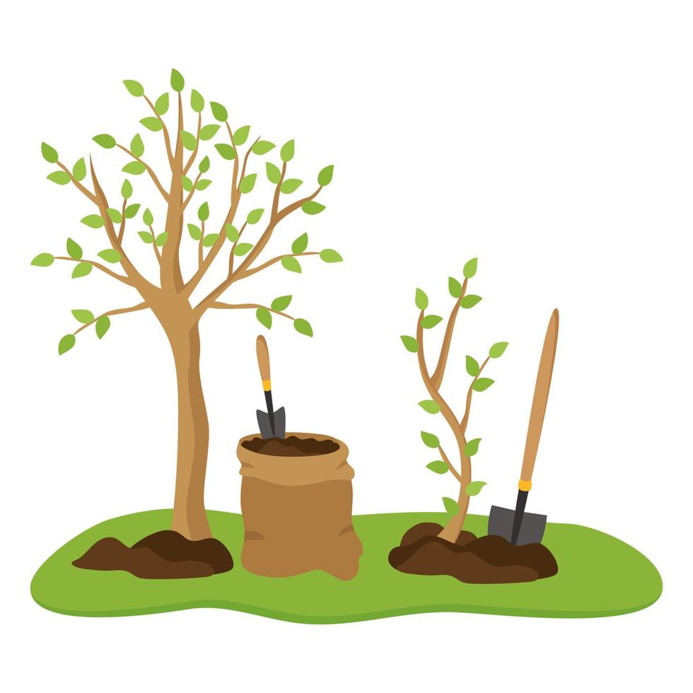 Gardening spring planting of trees. Young seedlings in fresh soil, next to a shovel and a bag of earth. Illustration of agriculture vector