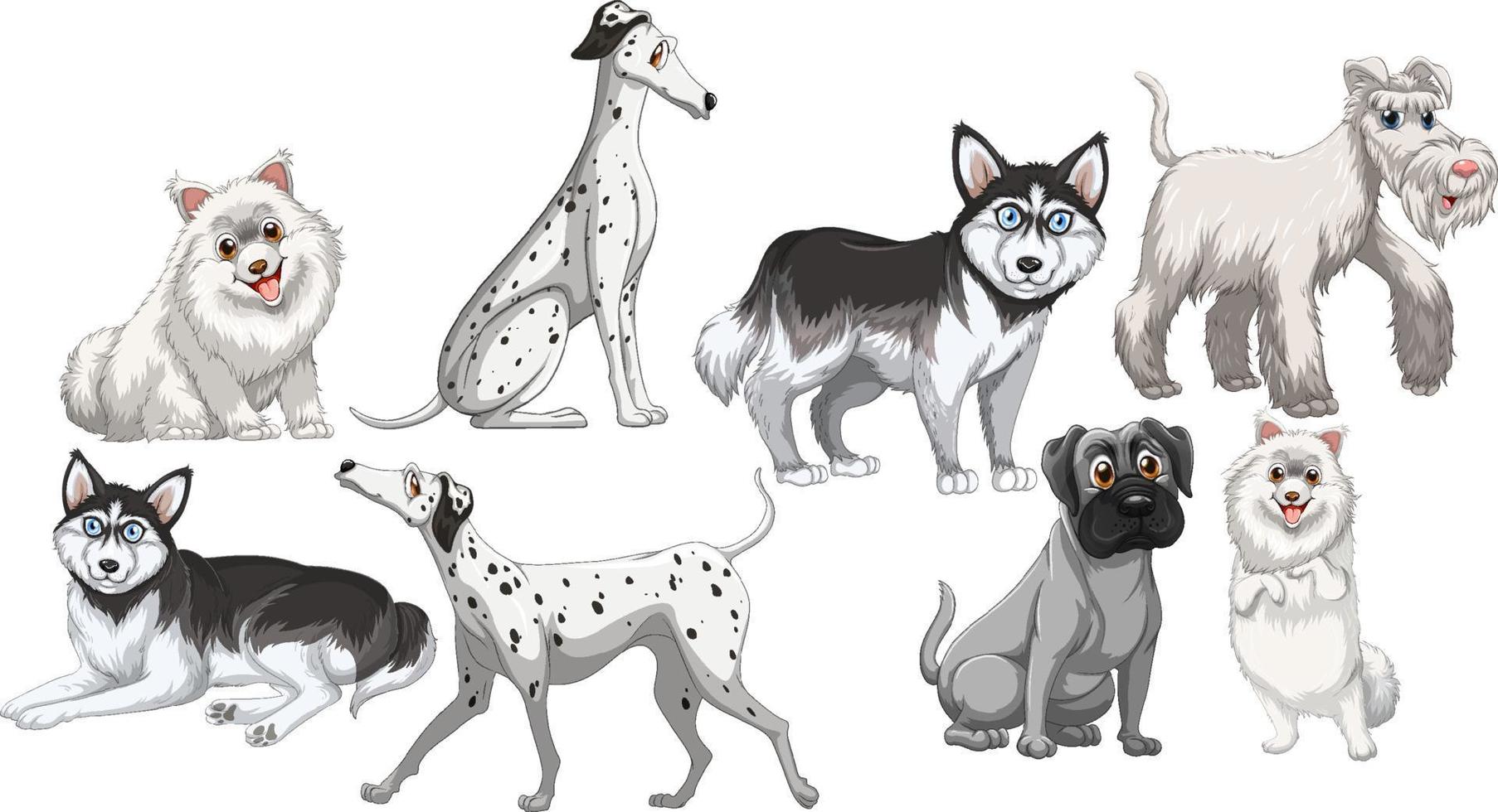 conjunto de perros blancos en diferentes razas sobre fondo blanco vector