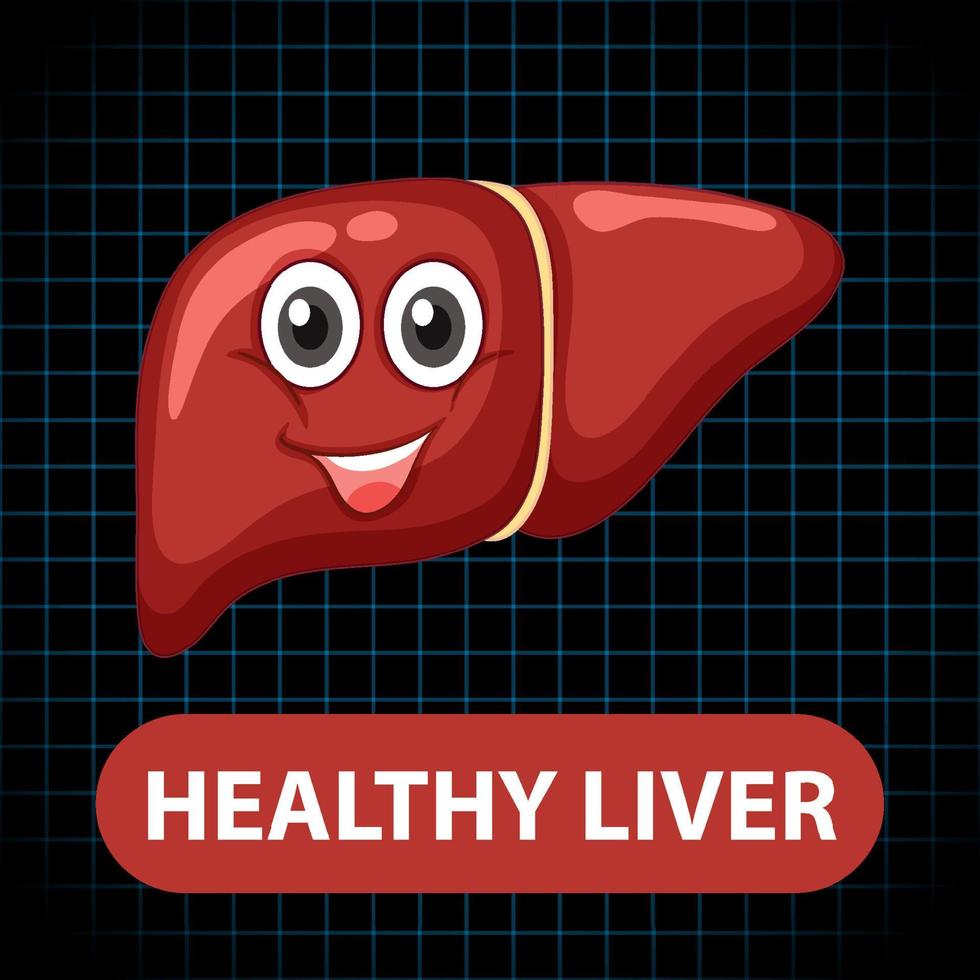 Healthy liver cartoon character vector