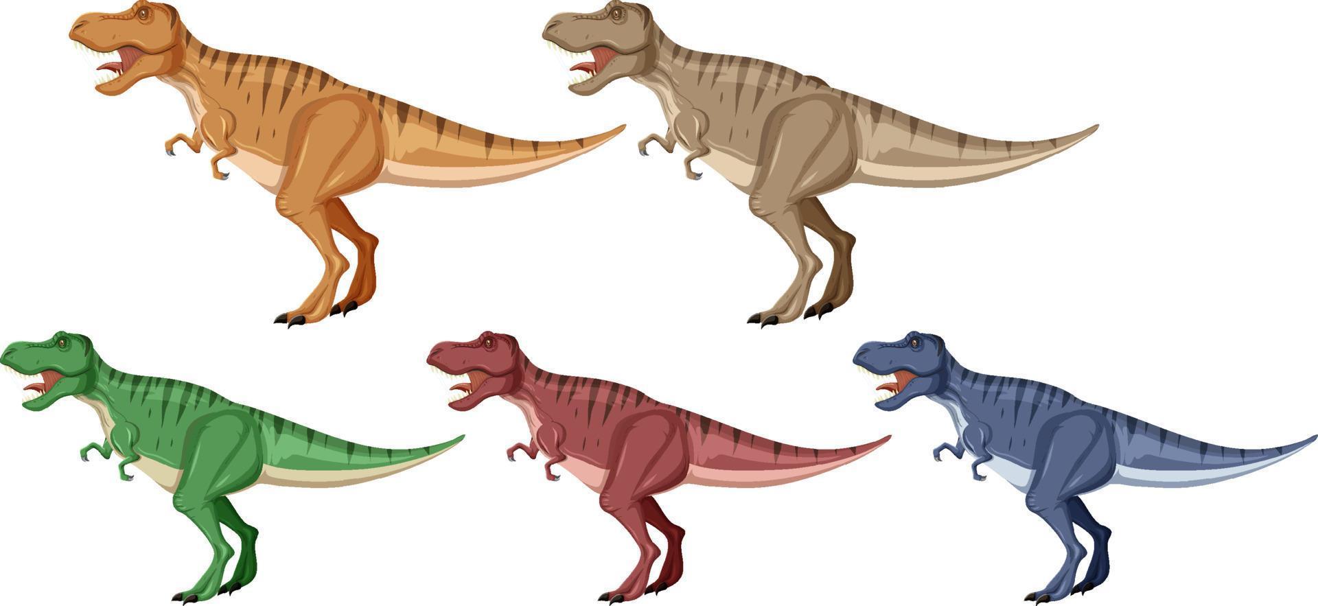 A set of tyrannosaurus rex dinosaurs on white background vector