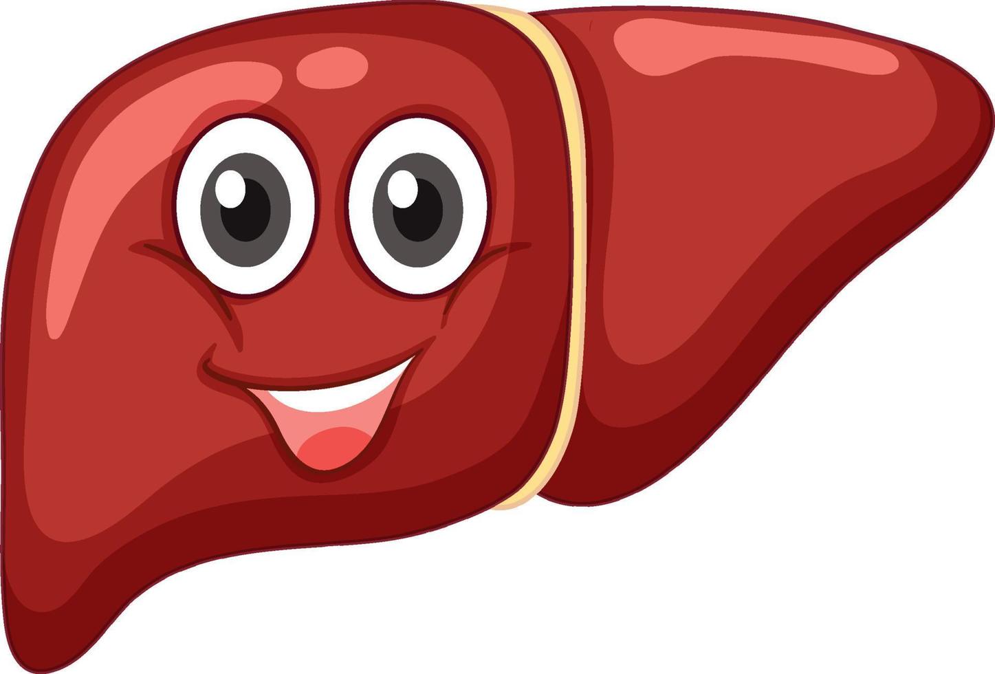 Healthy Liver with face expression on white background vector