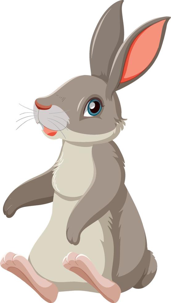 Cute bunny with gray fur vector