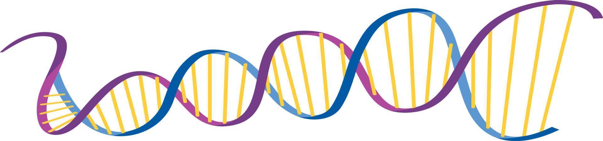 DNA helix symbol isolated on white background vector