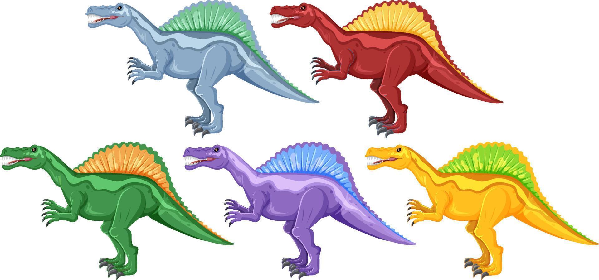 A set of spinosaurus dinosaurs on white background vector