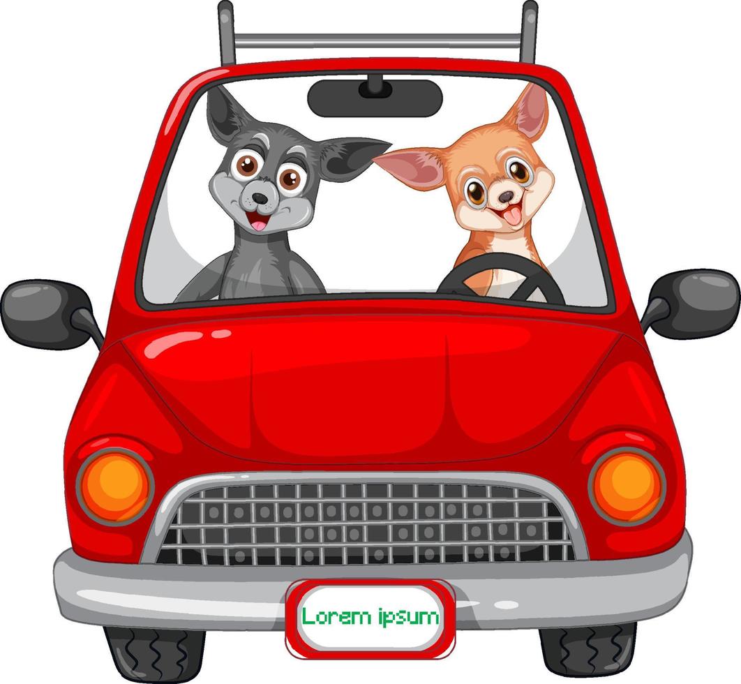 dos perros conduciendo en coche rojo vector