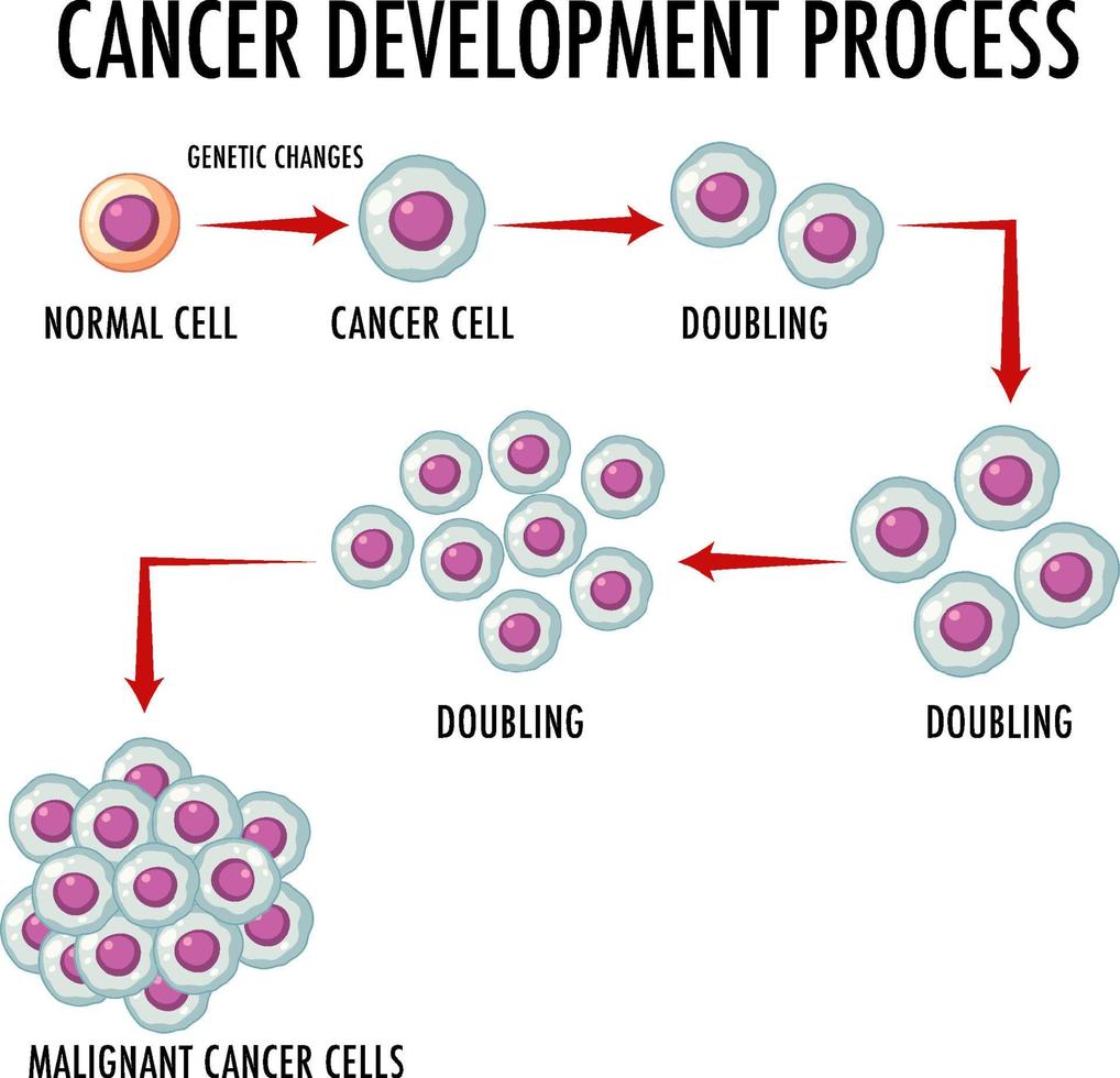 Cancer Devlopment Process infographic vector