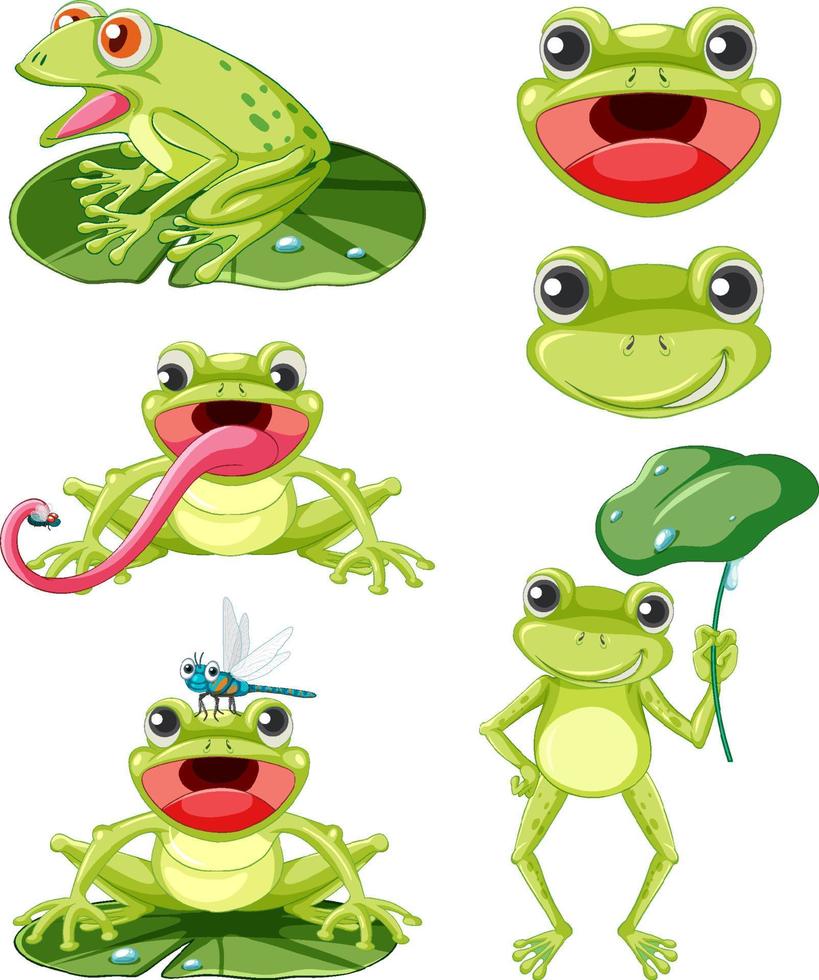conjunto de diferentes ranas en estilo de dibujos animados vector