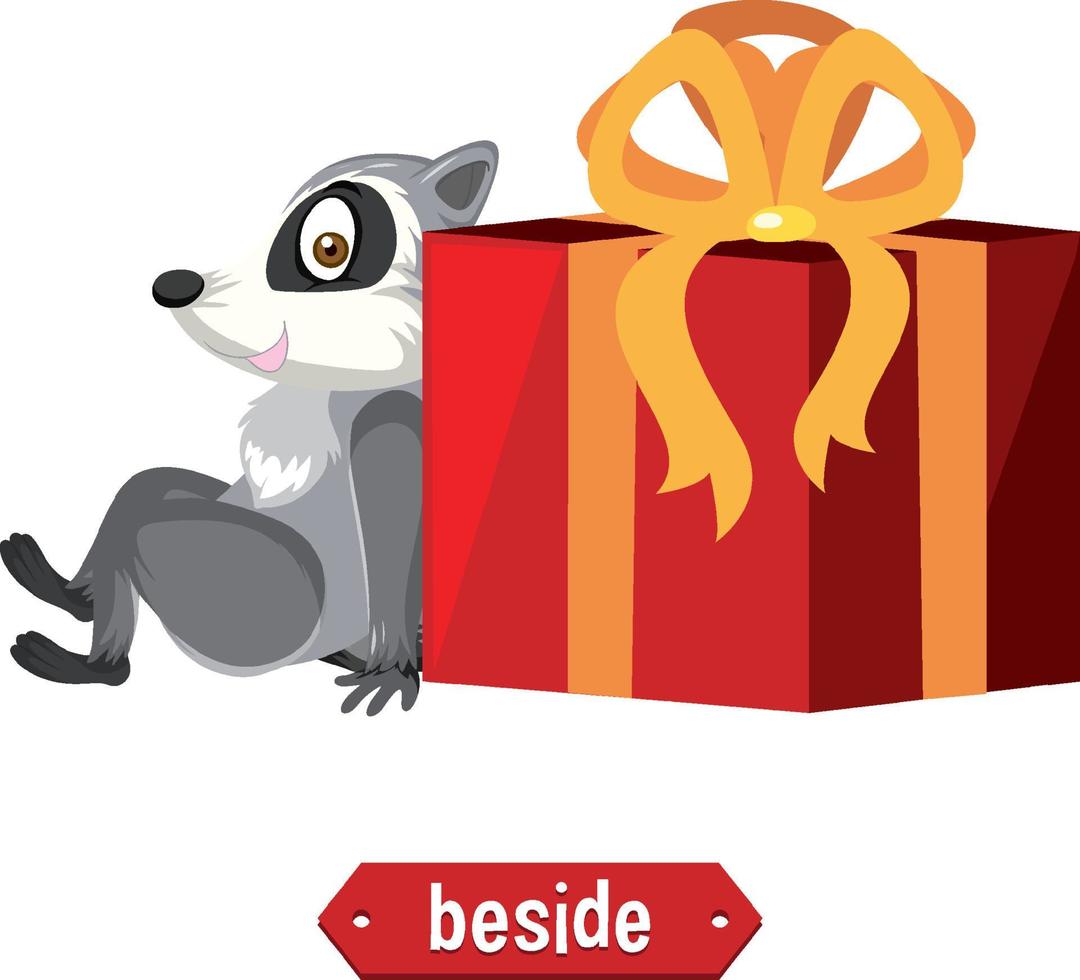 Preposition wordcard with raccoon beside box vector