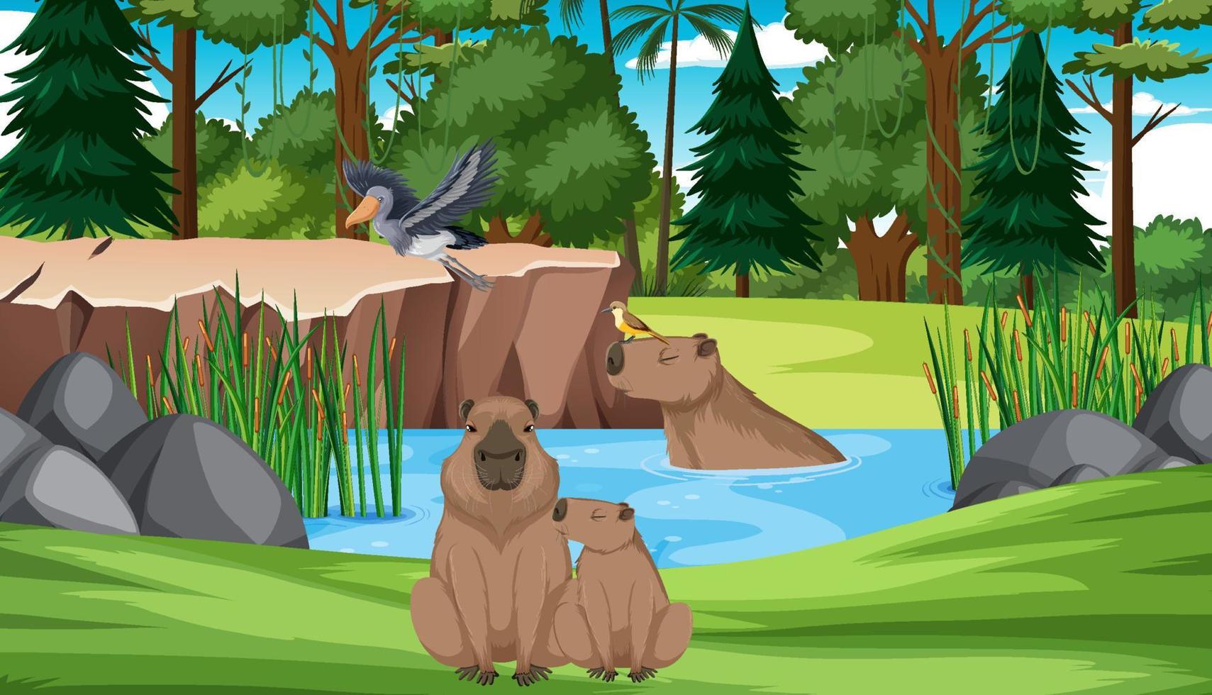 wombats y pájaros junto al estanque vector
