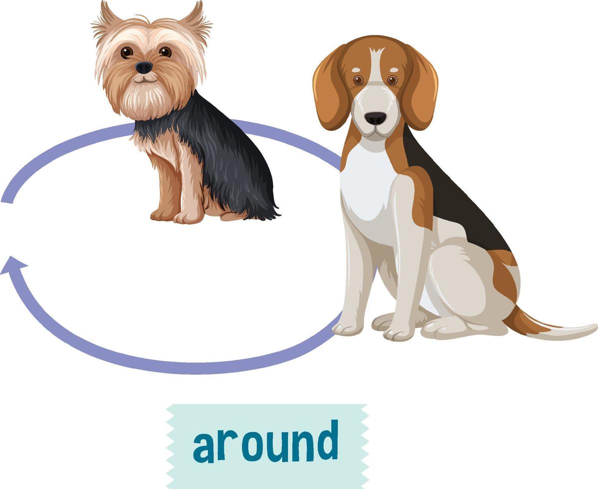 Preposition wordcard design with dogs and word around vector