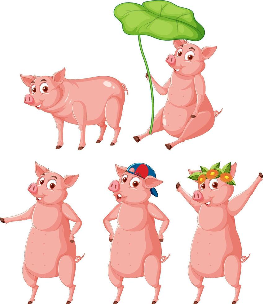 conjunto de diferentes cerdos de granja en estilo de dibujos animados vector