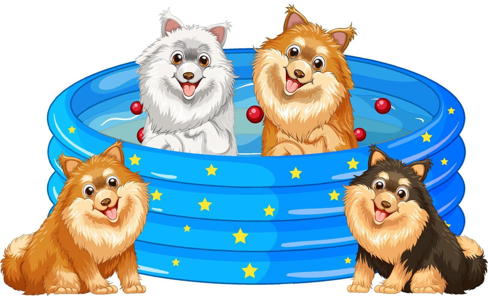 lindos cachorros en piscina de goma vector