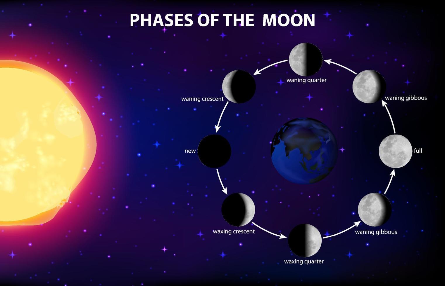 Phases of the moon for science education 6158462 Vector Art at Vecteezy