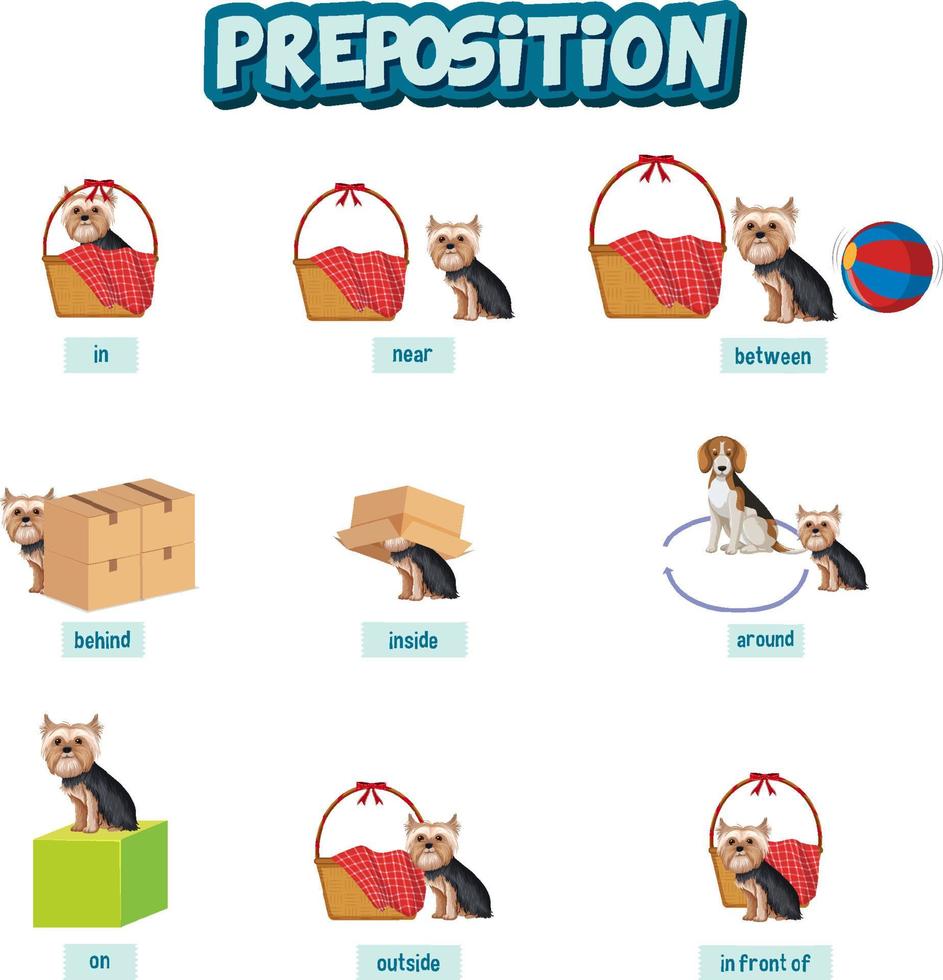 diseño de wordcard de preposición con perros y canasta vector