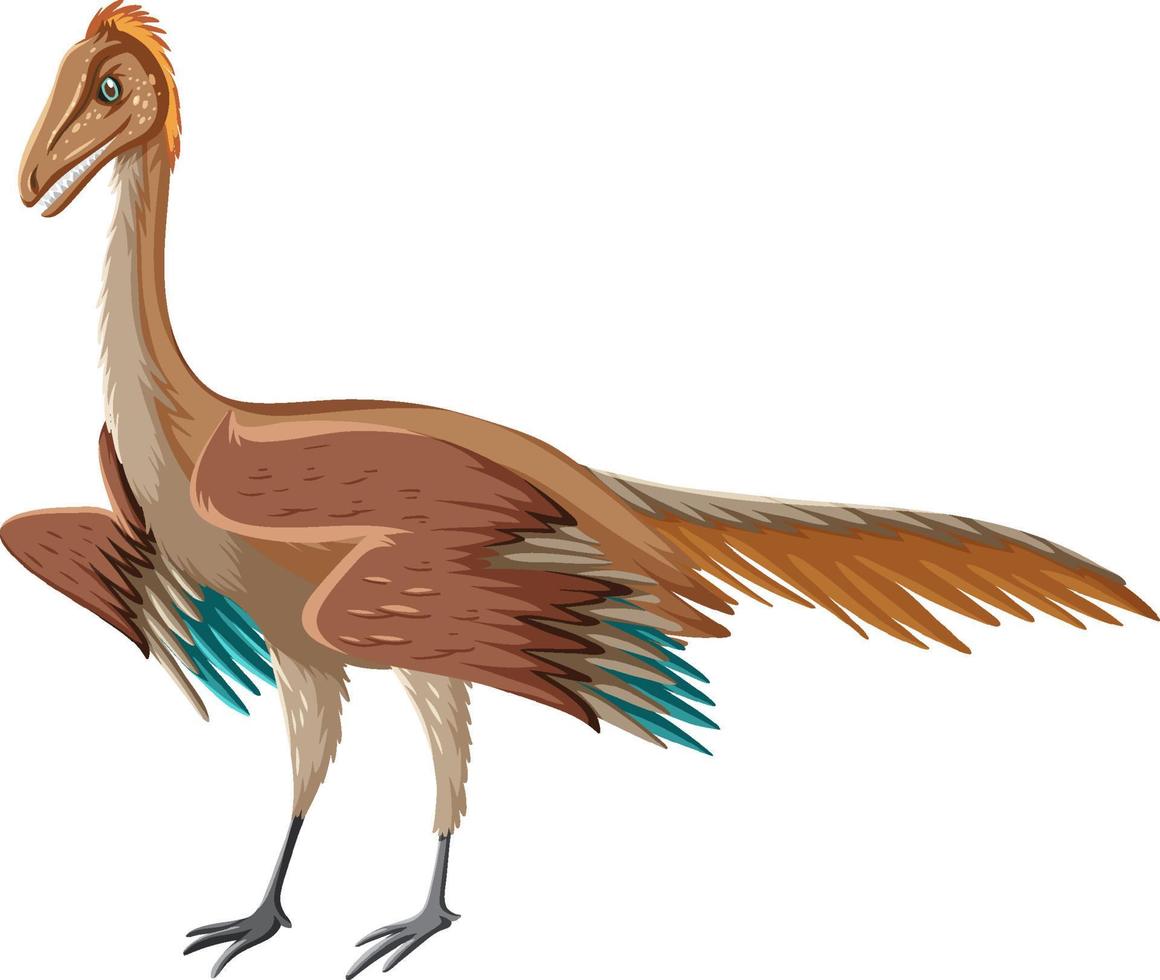 Archaeopteryx dinosaurio sobre fondo blanco. vector