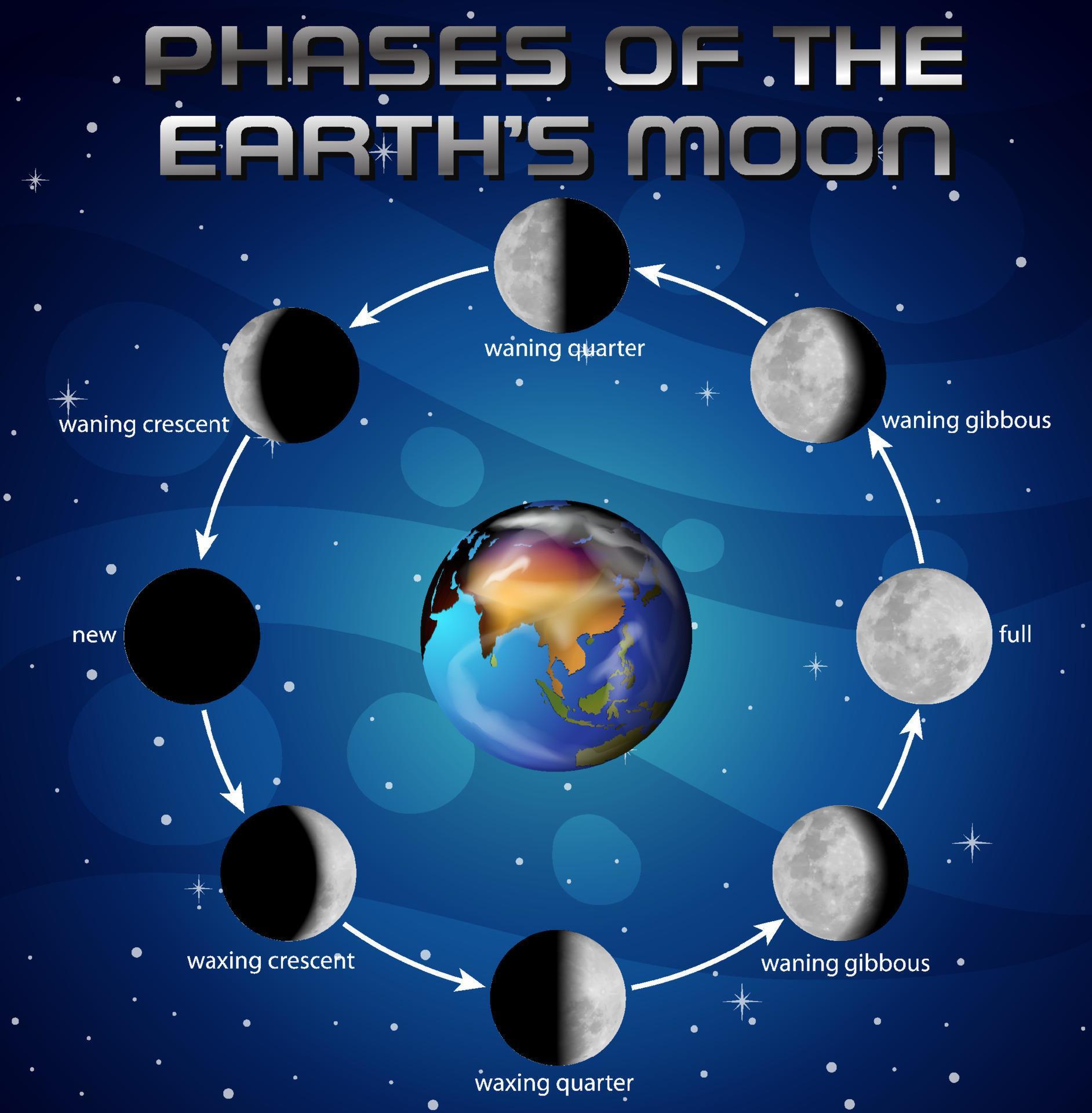 Phases of the moon for science education 6159143 Vector Art at Vecteezy