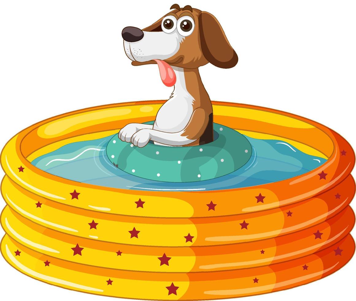 Cute dog playing in the pool vector