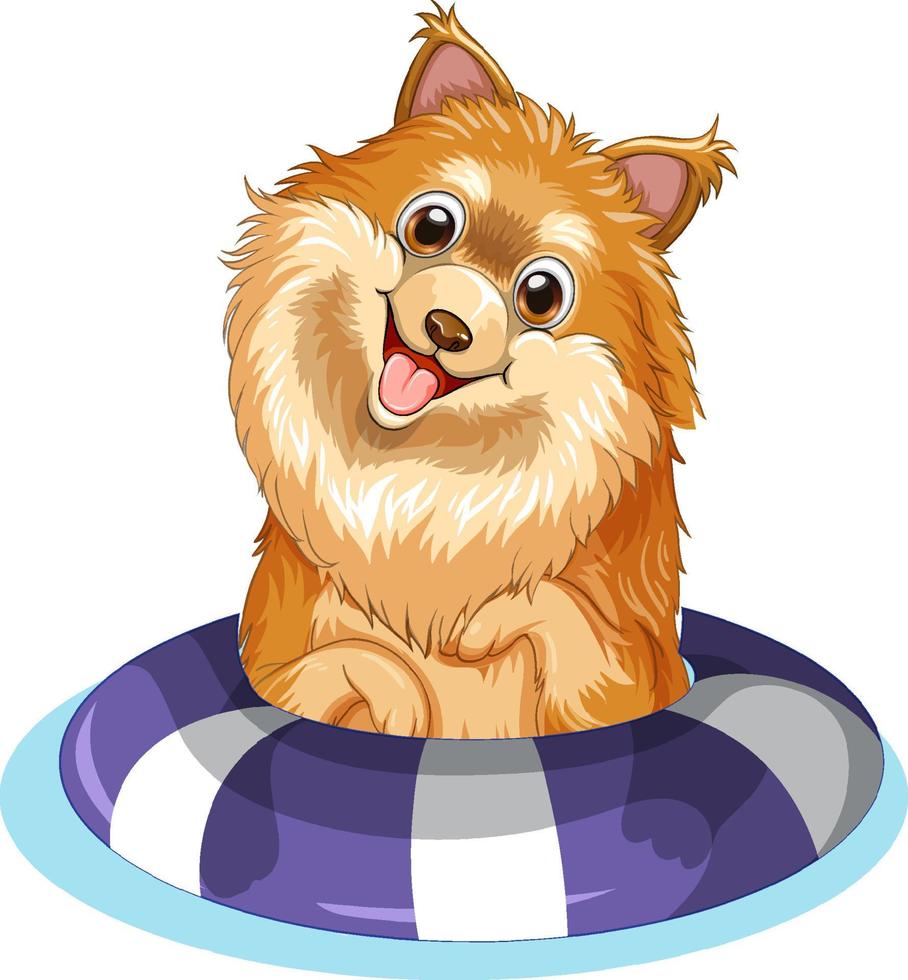 Brown dog in swimming ring vector