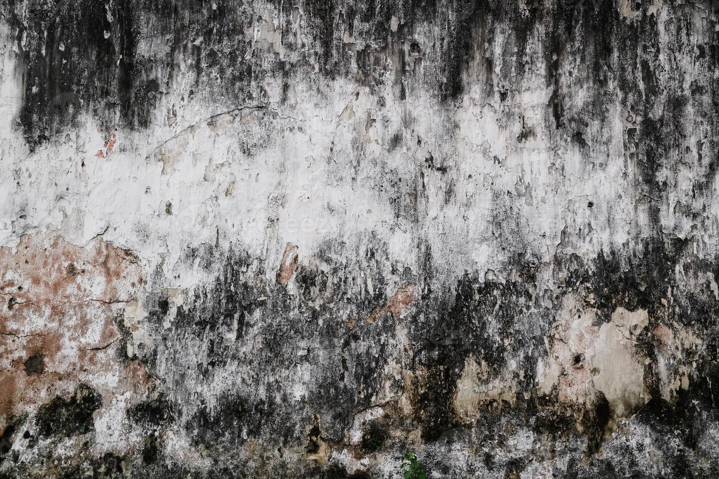 Grunge old rough cement wall texture. Abstract grunge concrete background for pattern. photo