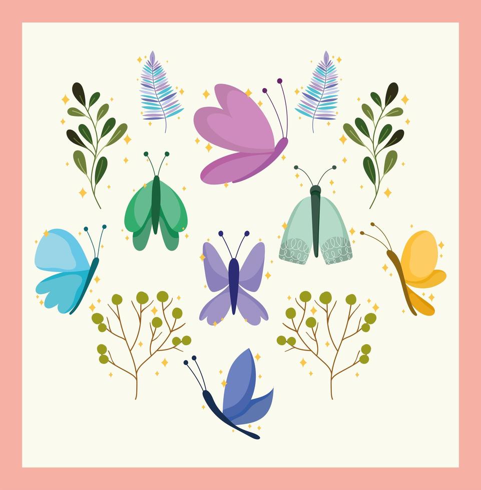 butterflies and plants vector