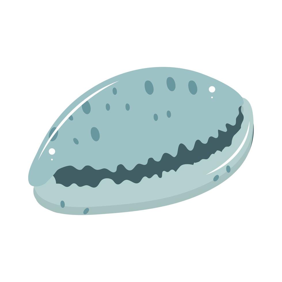 shell sea flat icon vector
