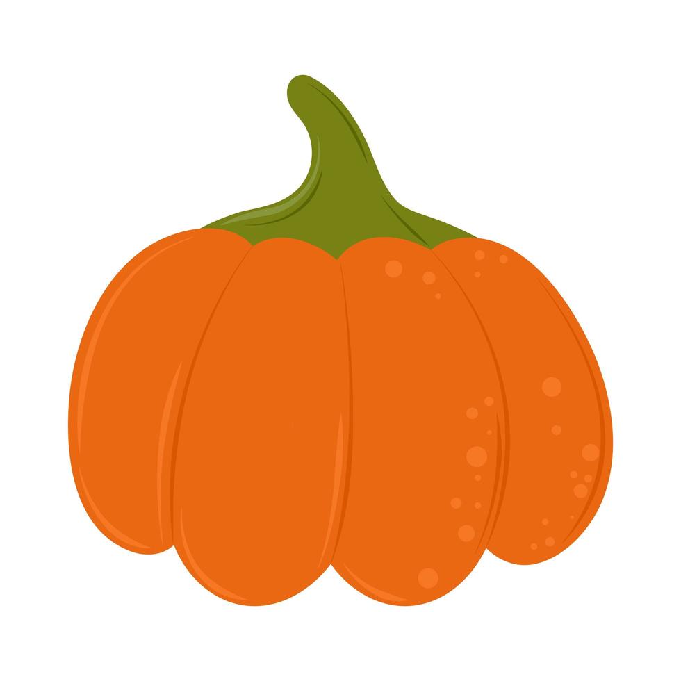 icono de calabaza fresca vector