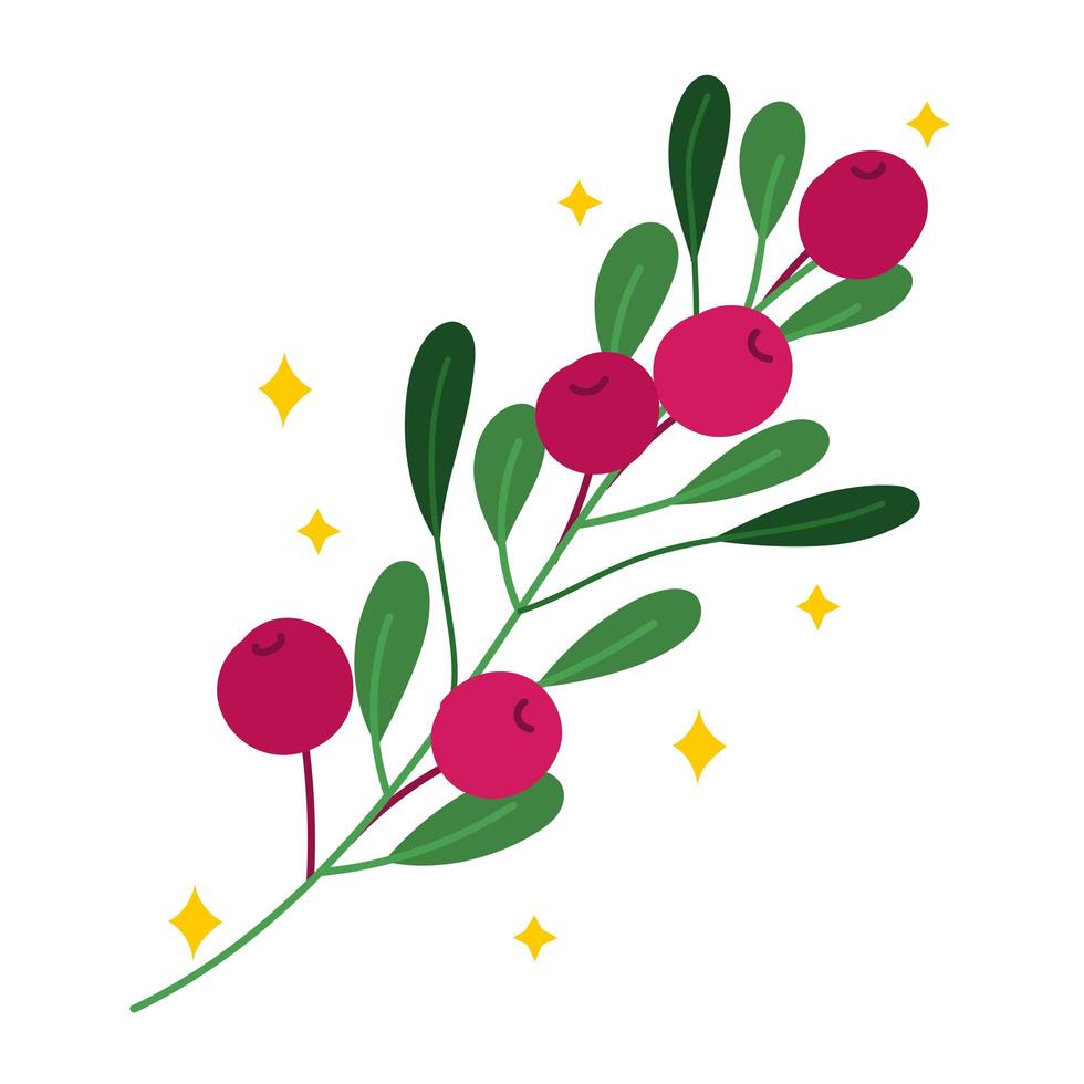 branch with berries vector