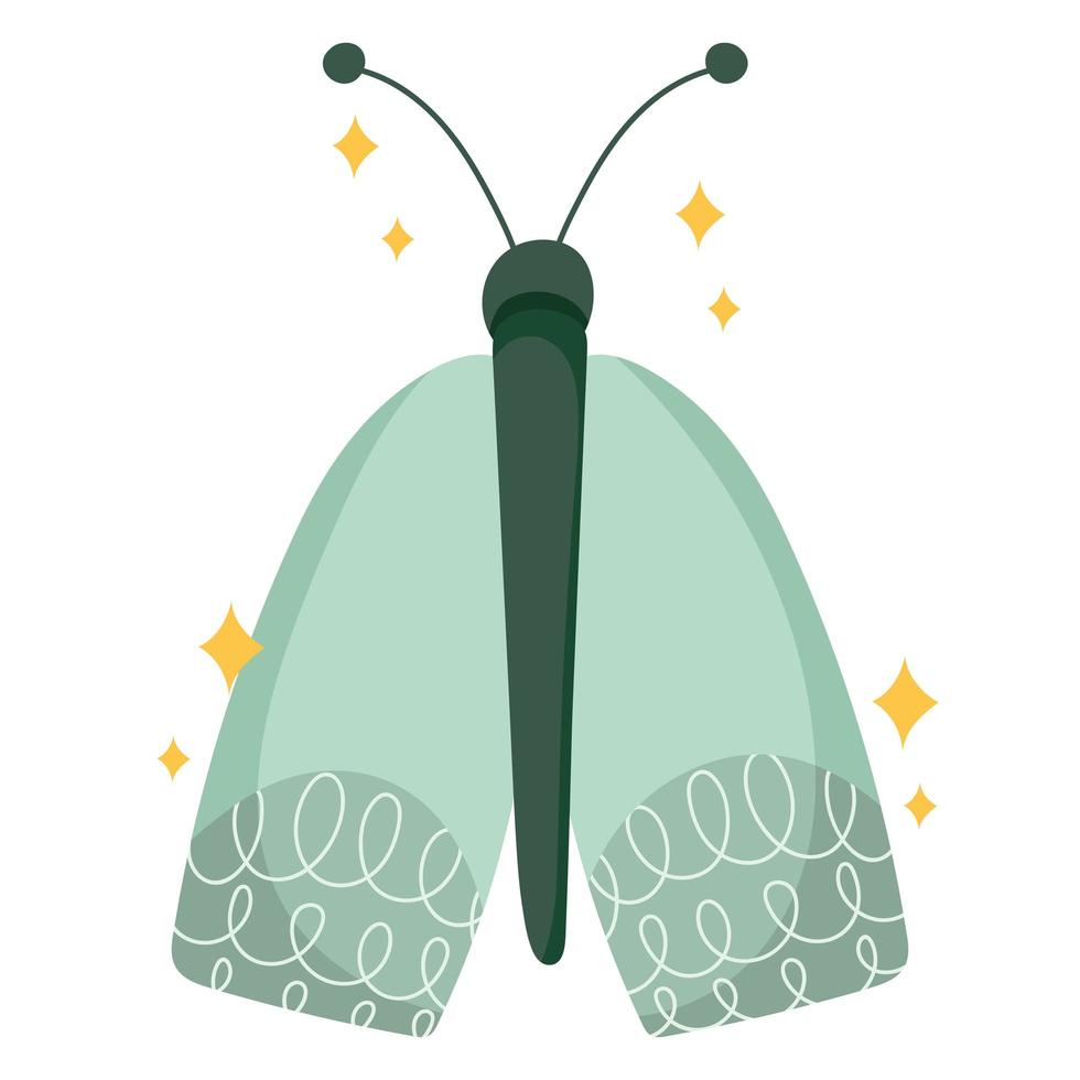 butterfly cartoon icon vector