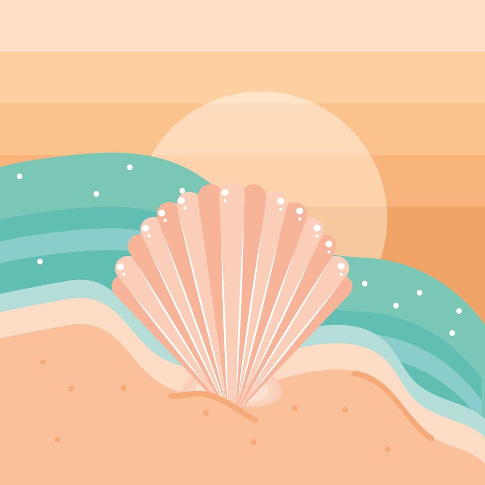 shell in the beach vector