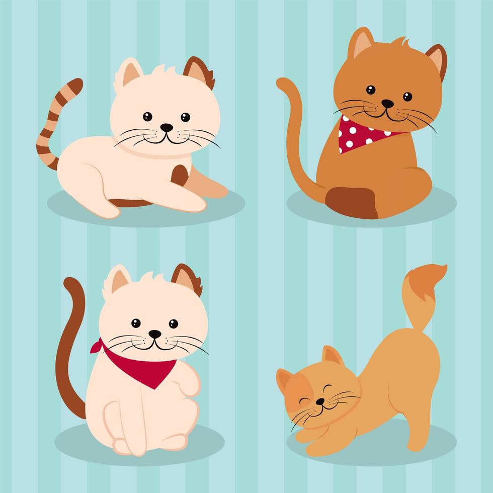 iconos lindos gatos vector