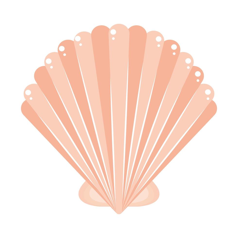 oyster shell icon vector