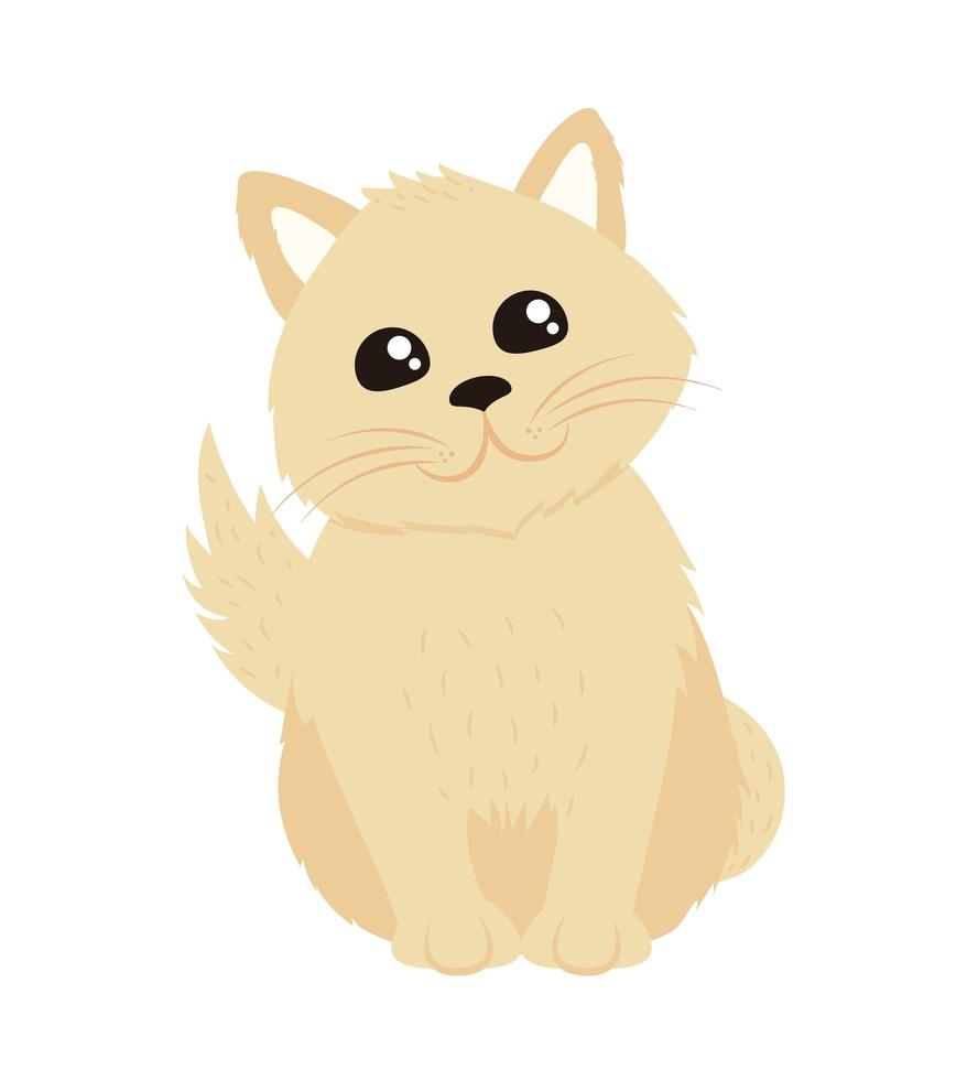 pequeño gato mascota vector