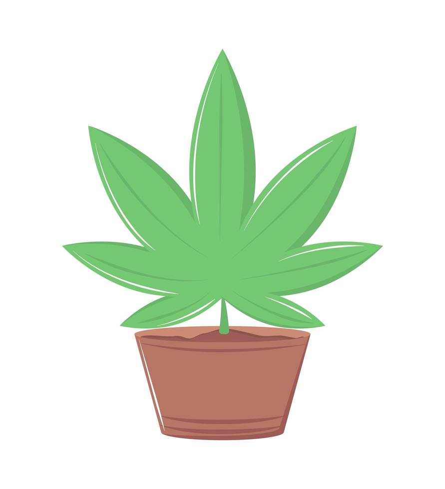 planta de cannabis en maceta vector