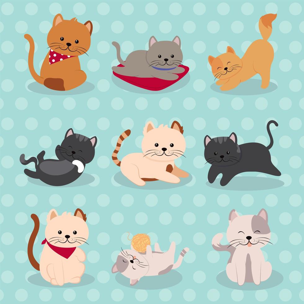 conjunto de iconos gatos vector