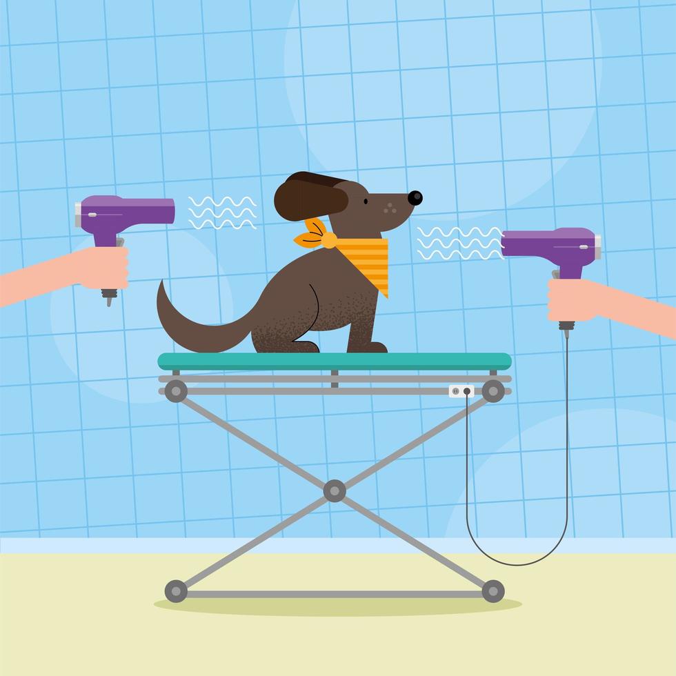 dog pet with hair dryers vector