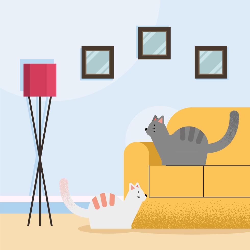 cats mascots in livingroom vector