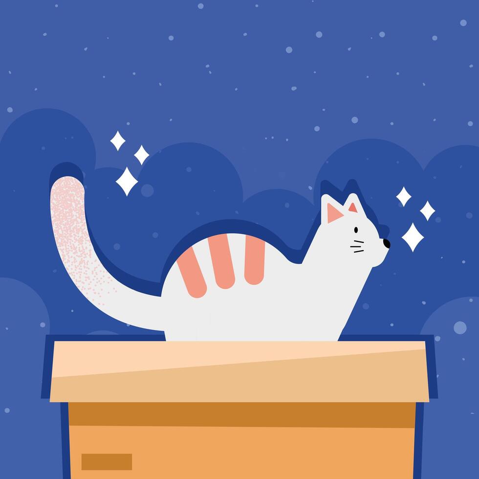 gato mascota en caja vector