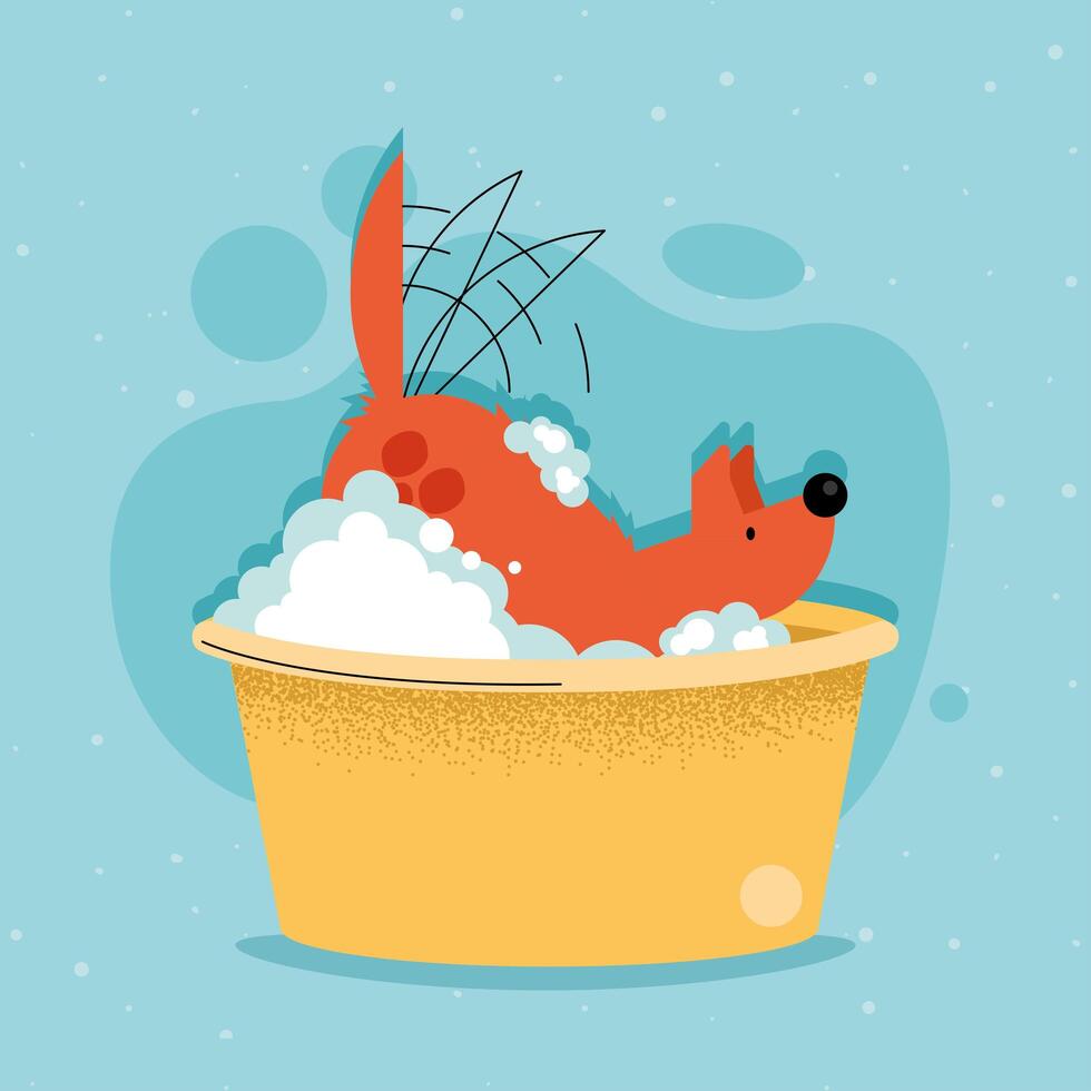 dog pet with bathtub vector