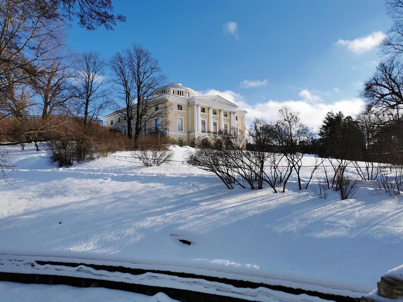 invierno en el parque pavlovsky nieve blanca y árboles fríos foto