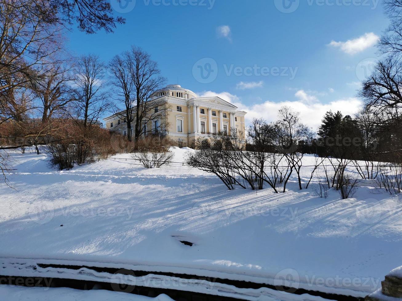 Winter in Pavlovsky Park white snow and cold trees photo