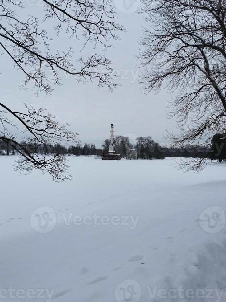 winter day in Catherine Park snow trees photo