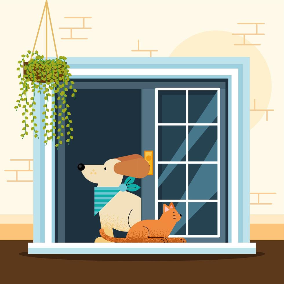 pets in window house vector